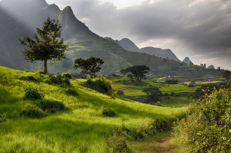 Ethiopia's Simien Mountains Has A Mesmerizing Landscape Full Of Exotic